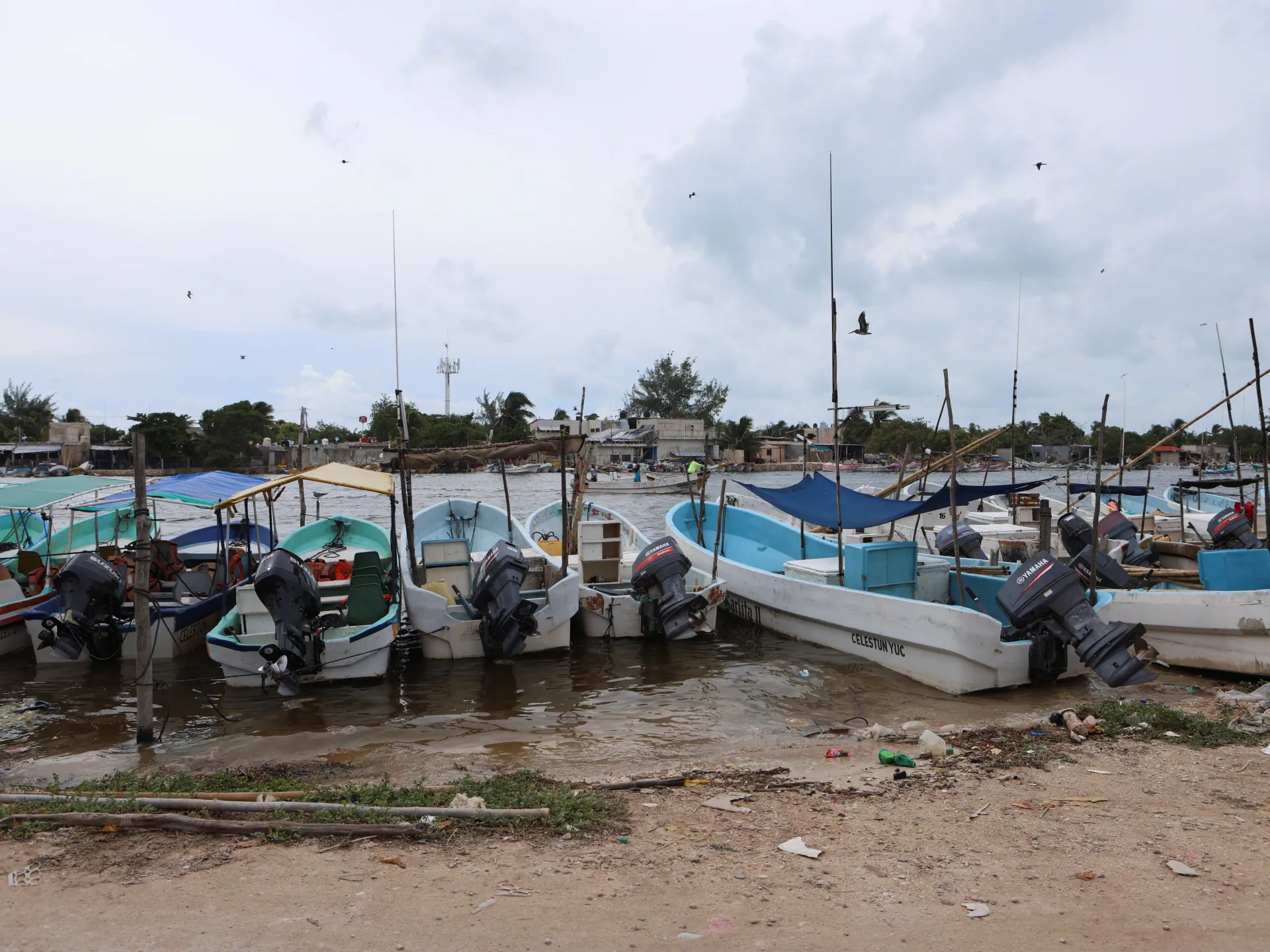 Greenpeace: Yucatan drinking water tainted by faecal waste